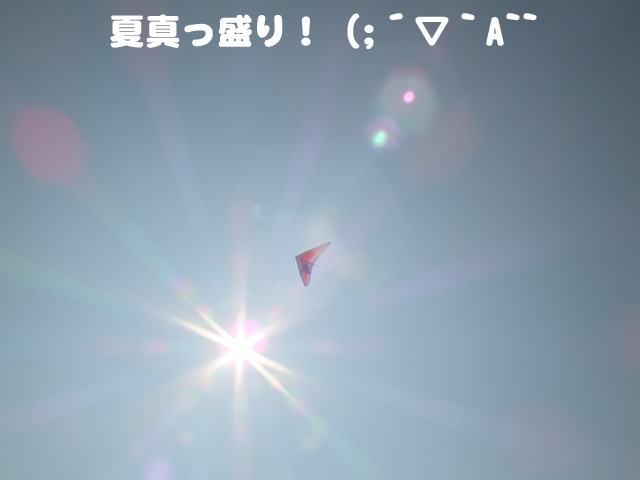 肶BBB